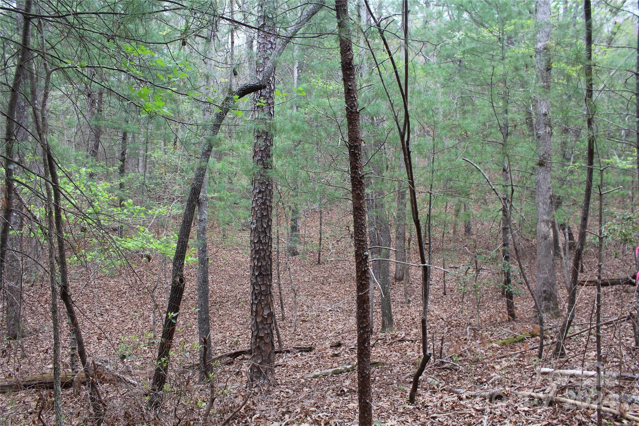 350 Sycamore Avenue NW Valdese NC 28690
