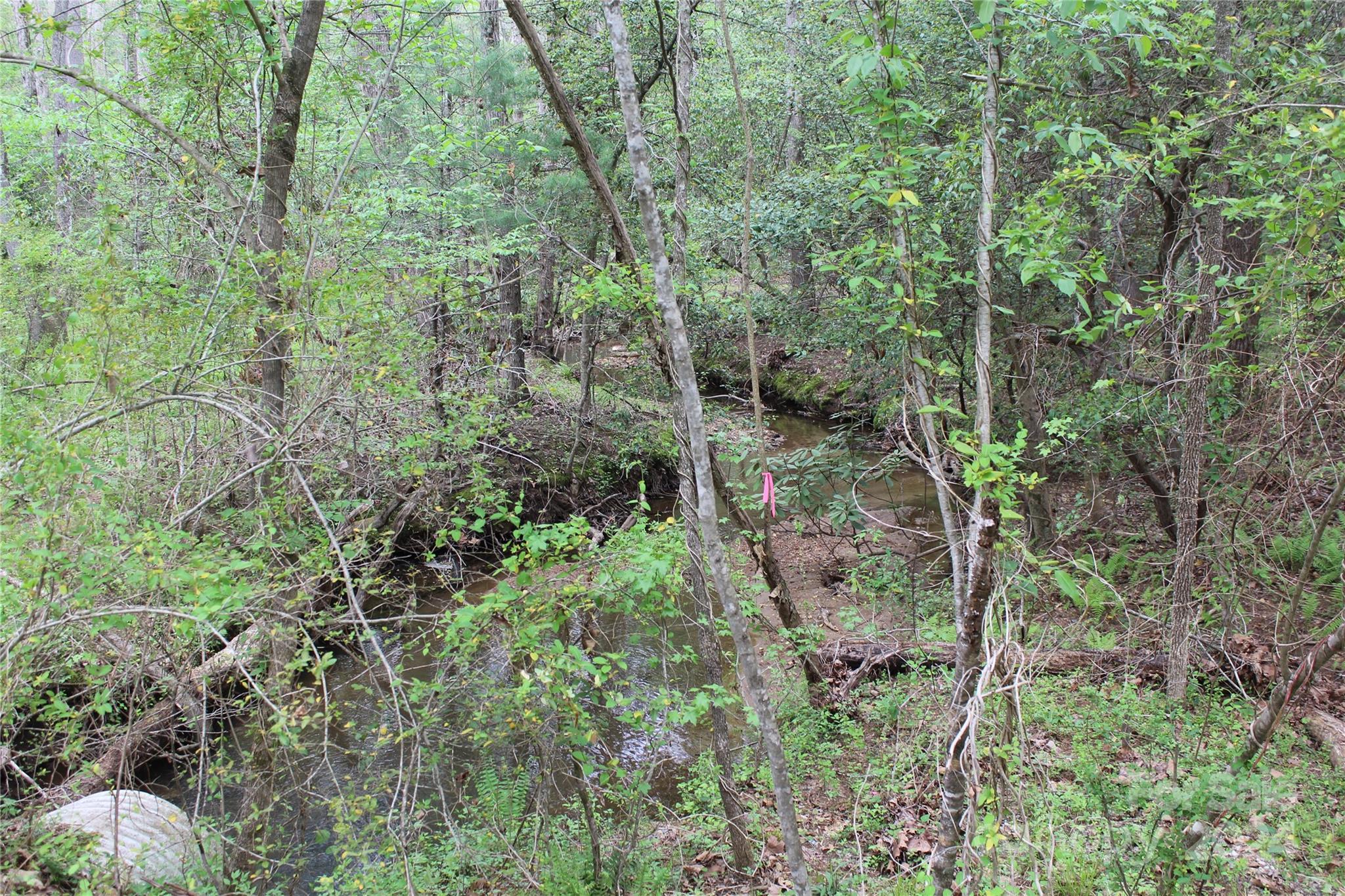 350 Sycamore Avenue NW Valdese NC 28690