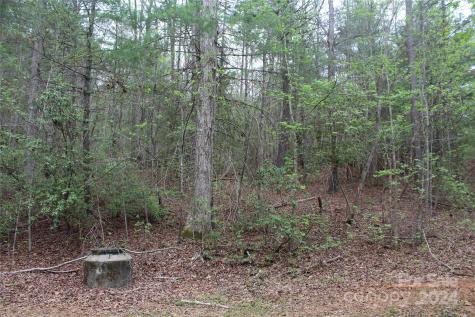 350 Sycamore Avenue NW Valdese NC 28690