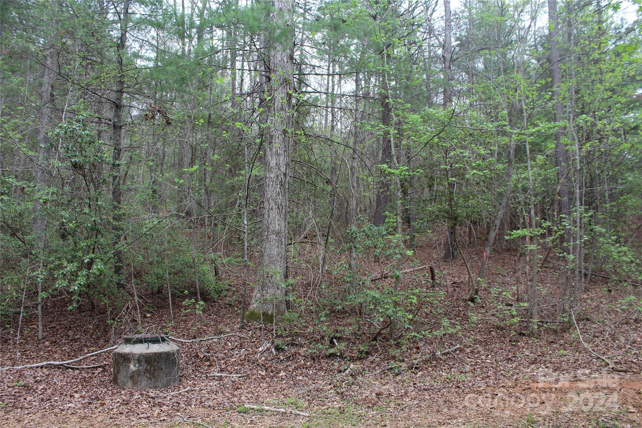 350 Sycamore Avenue NW Valdese NC 28690