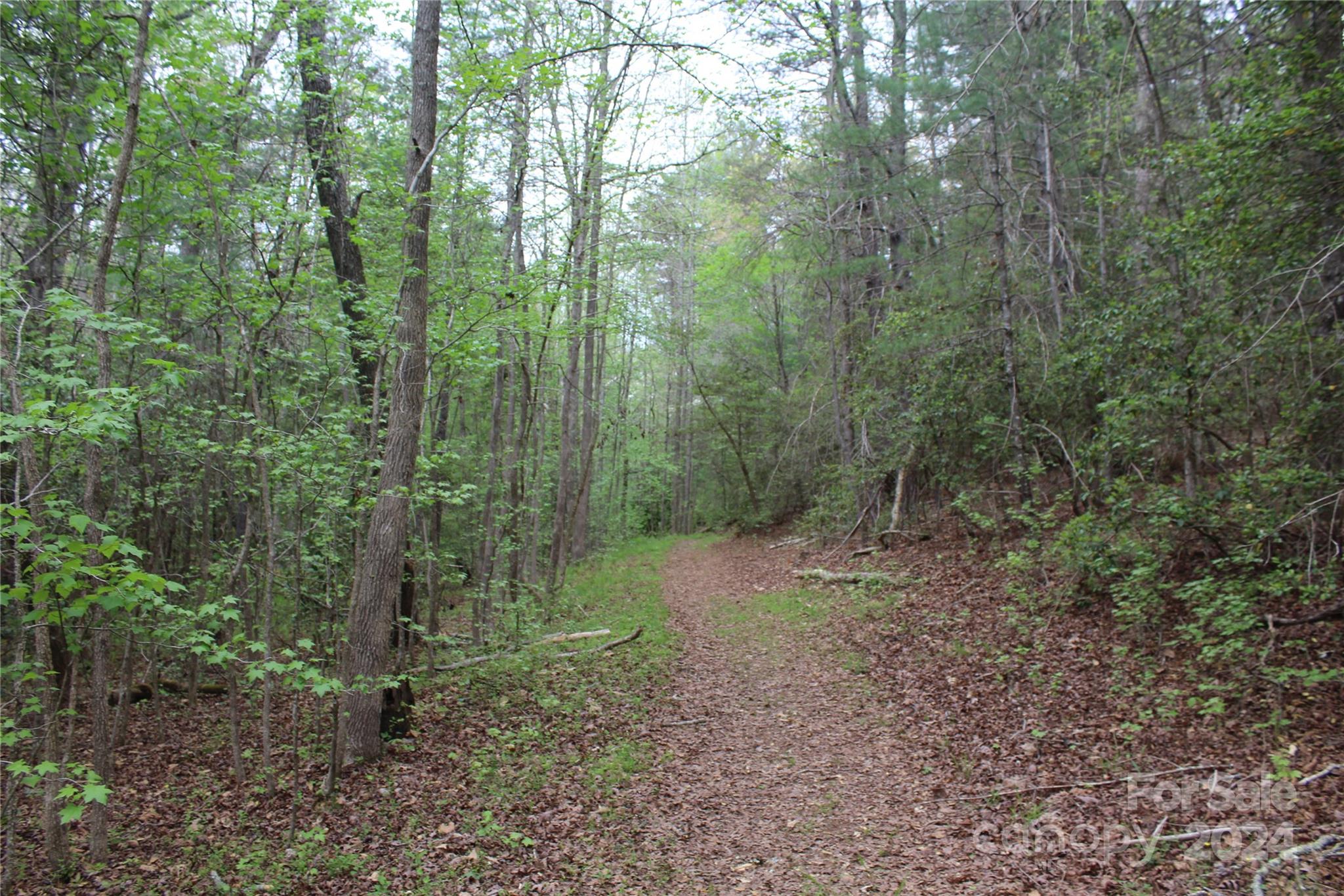 350 Sycamore Avenue NW Valdese NC 28690