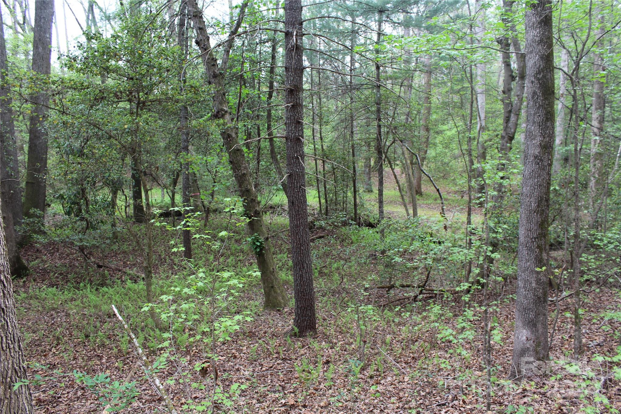 350 Sycamore Avenue NW Valdese NC 28690