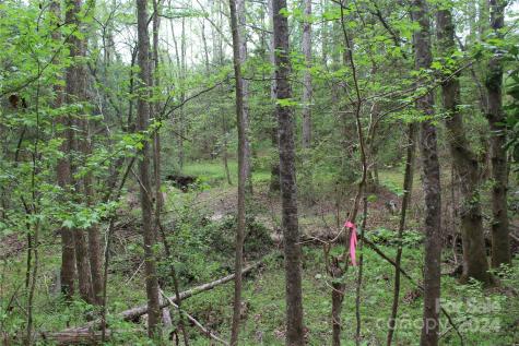 350 Sycamore Avenue NW Valdese NC 28690