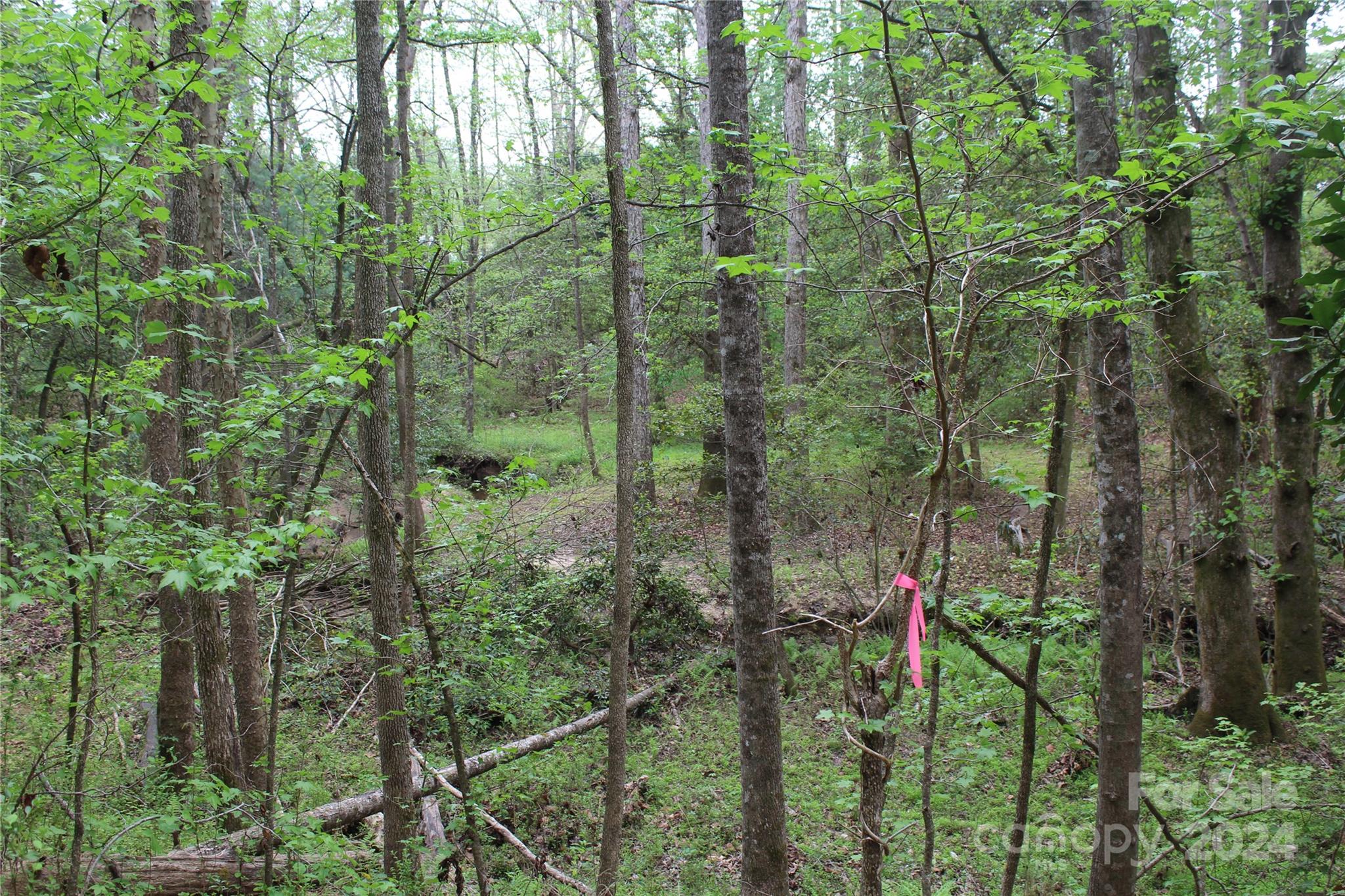 350 Sycamore Avenue NW Valdese NC 28690