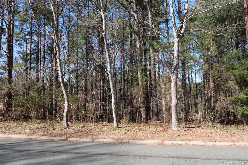 13703 Lake Bluff Drive Matthews NC 28105