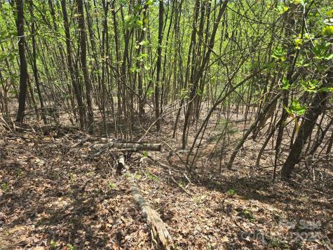 Lot 25 High Rock Ridge Lake Lure NC 28746