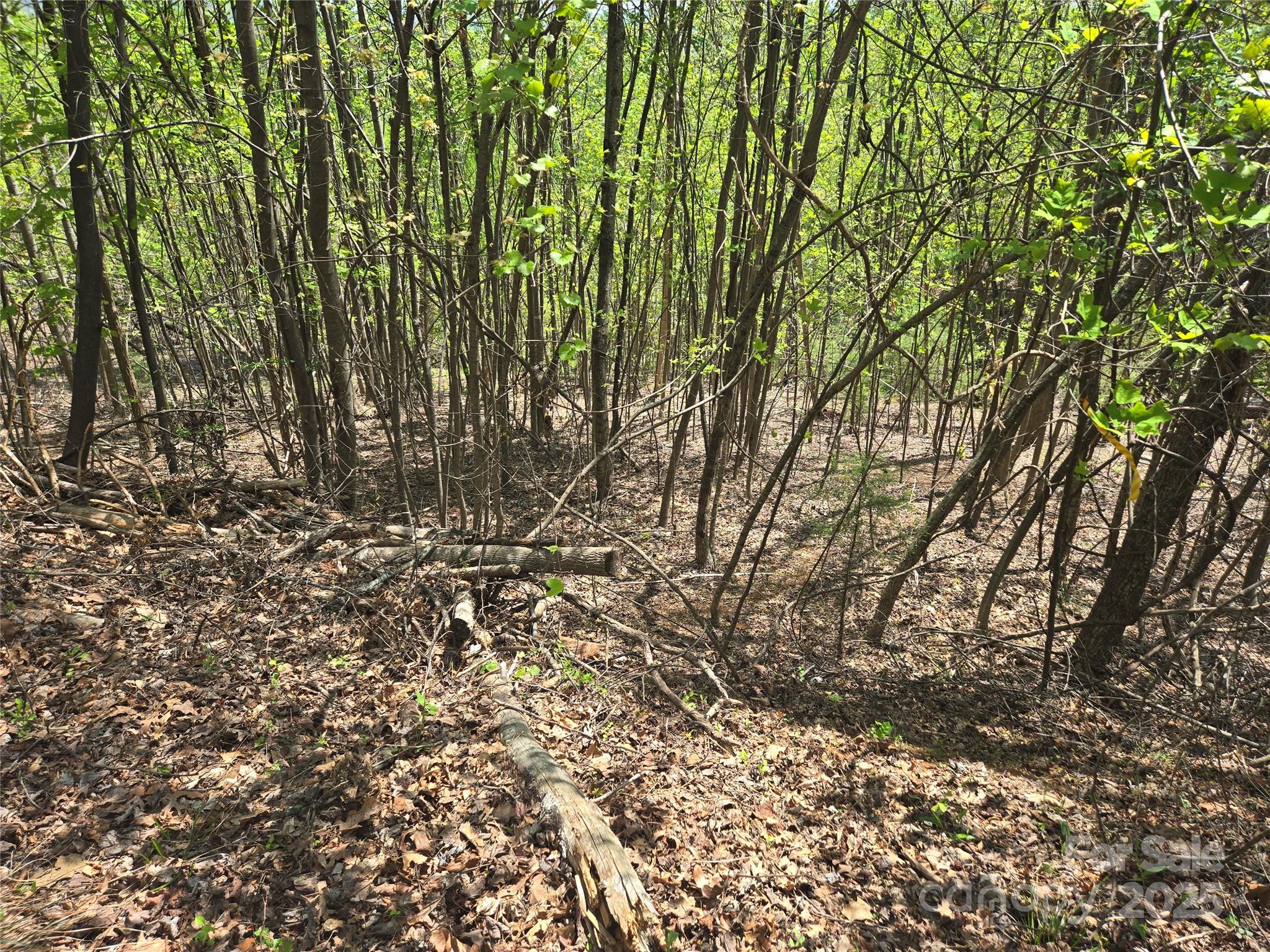 Lot 25 High Rock Ridge Lake Lure NC 28746