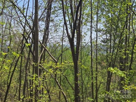 Lot 25 High Rock Ridge Lake Lure NC 28746