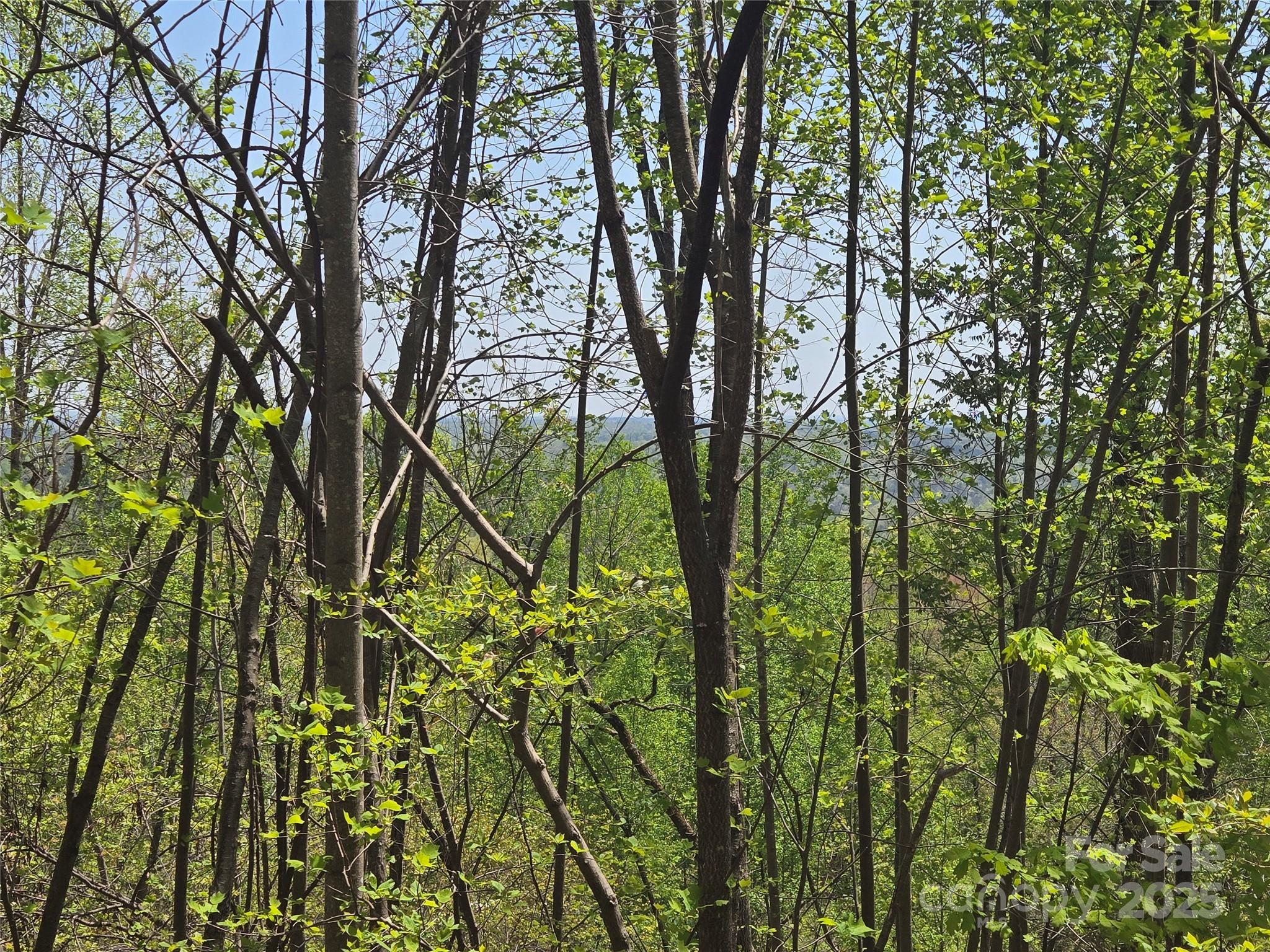 Lot 25 High Rock Ridge Lake Lure NC 28746