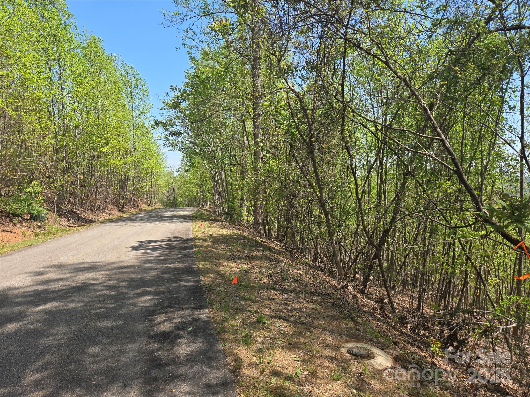Lot 25 High Rock Ridge Lake Lure NC 28746