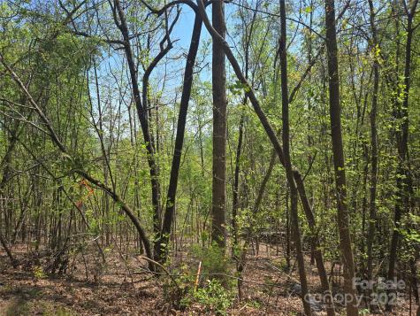 Lot 25 High Rock Ridge Lake Lure NC 28746