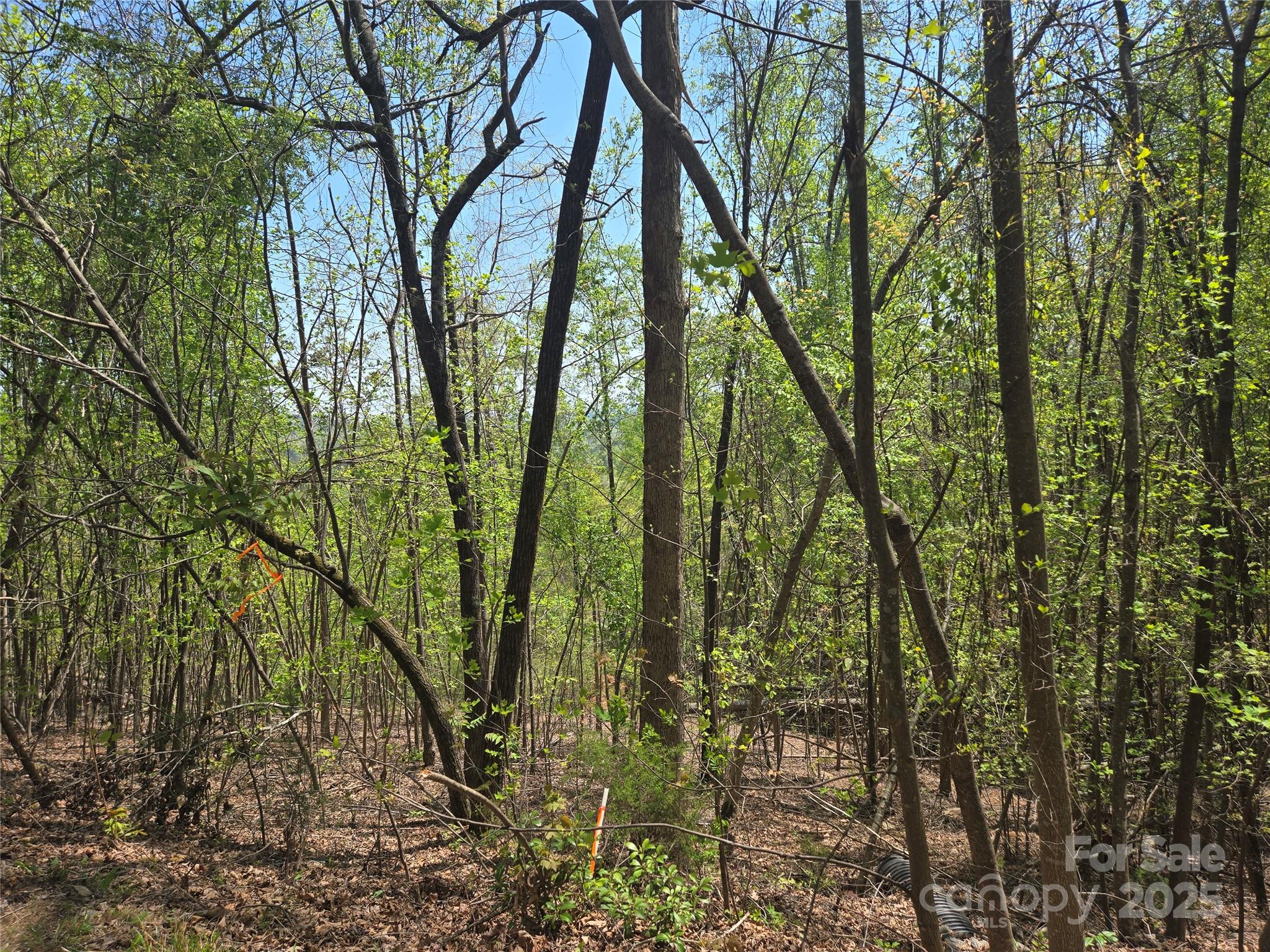 Lot 25 High Rock Ridge Lake Lure NC 28746