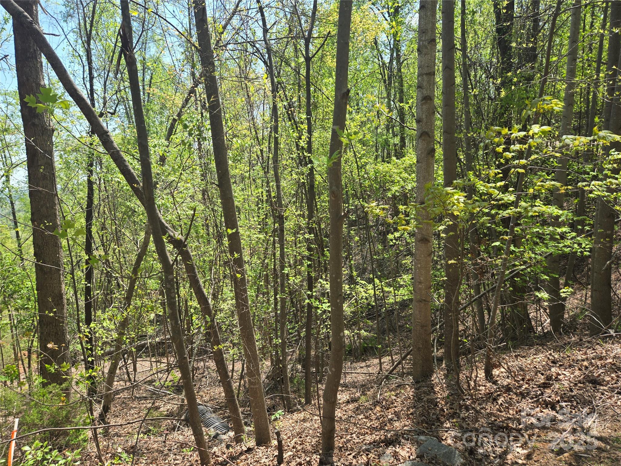 Lot 25 High Rock Ridge Lake Lure NC 28746