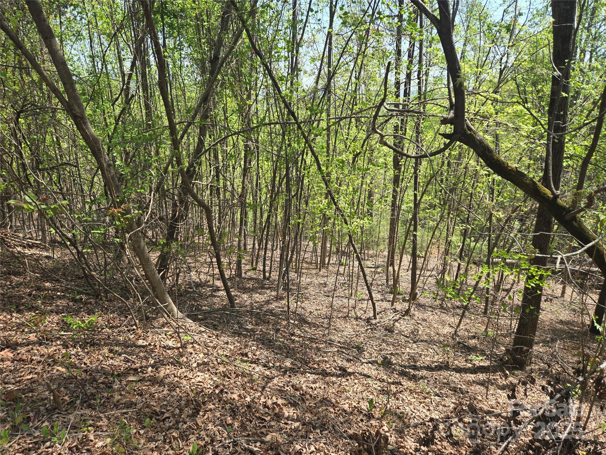 Lot 25 High Rock Ridge Lake Lure NC 28746