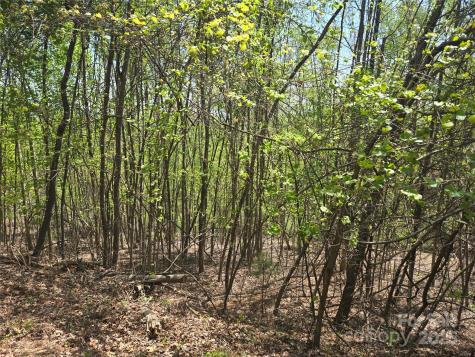 Lot 25 High Rock Ridge Lake Lure NC 28746
