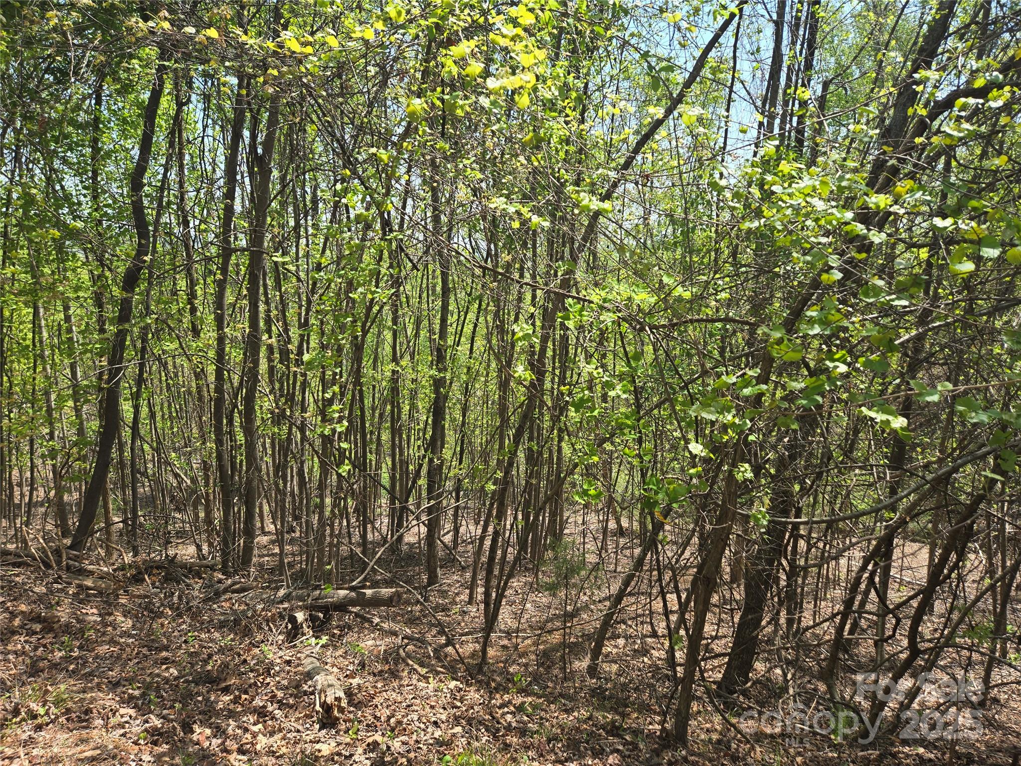 Lot 25 High Rock Ridge Lake Lure NC 28746