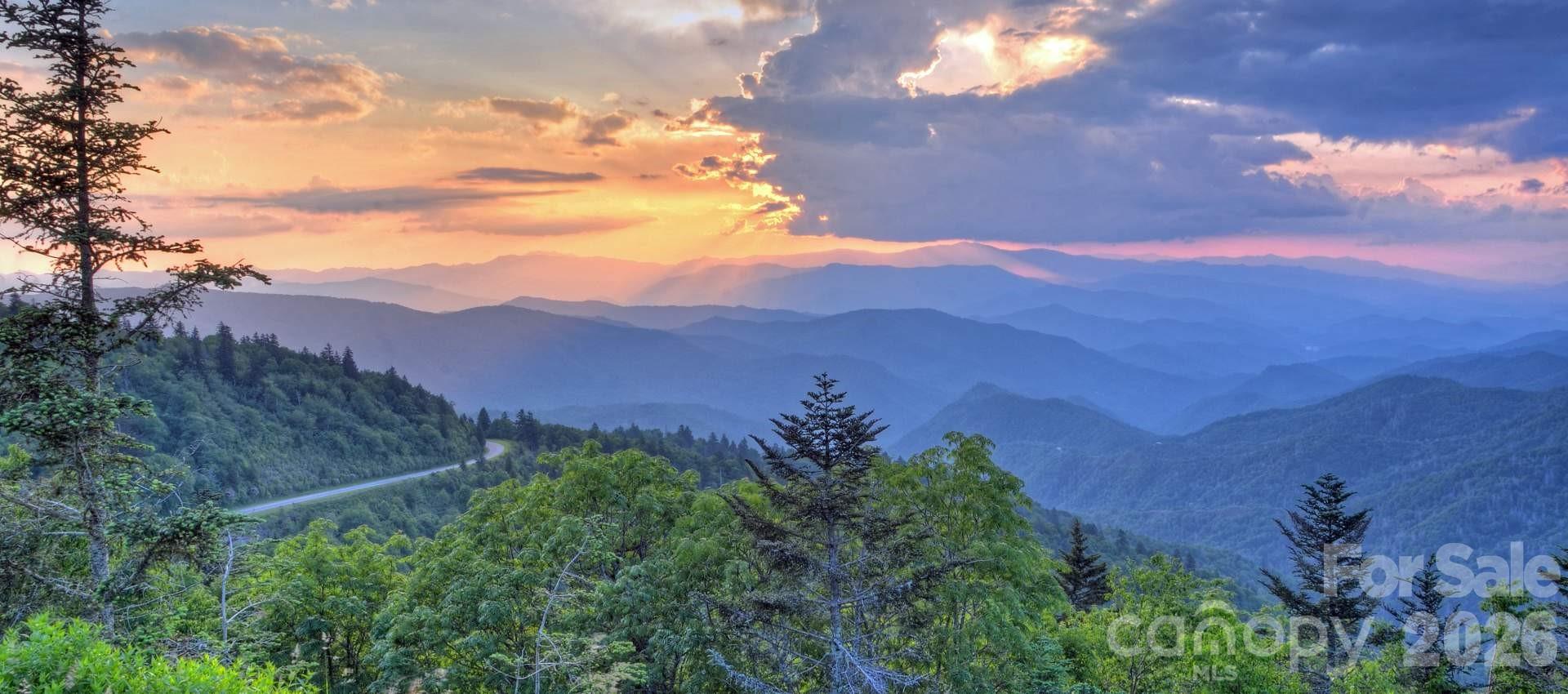 99999 Fairview Forest Drive Fairview NC 28730