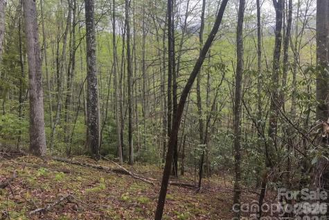 99999 Fairview Forest Drive Fairview NC 28730