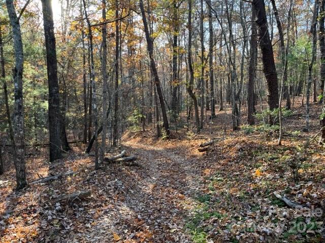 Tbd Shady Lane Mill Spring NC 28756