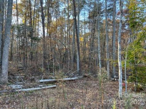 Tbd Shady Lane Mill Spring NC 28756