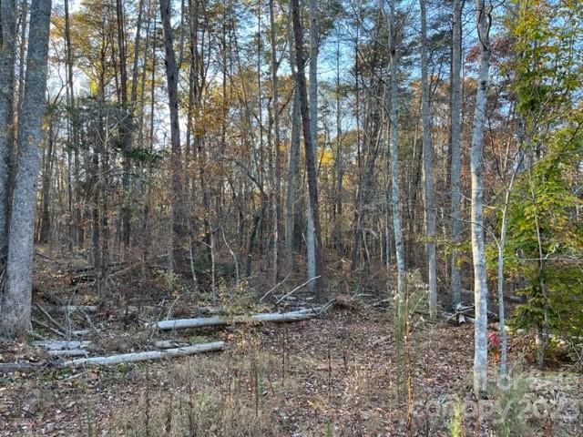 Tbd Shady Lane Mill Spring NC 28756