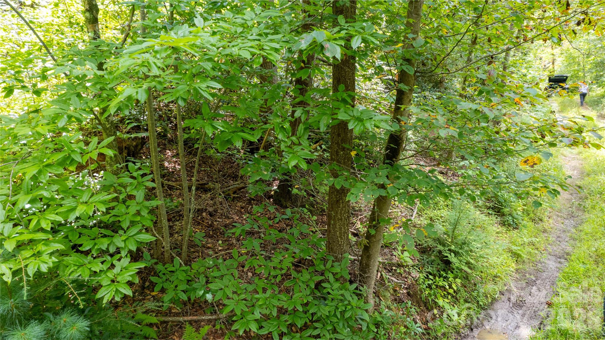 Tbd Collettsville Road Collettsville NC 28611