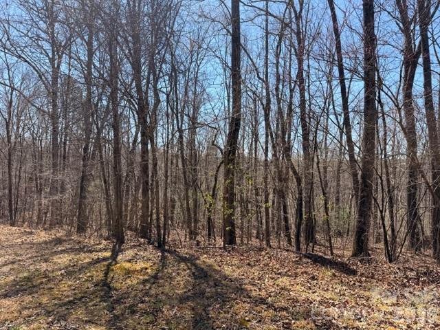 659 Bent Creek Drive Nebo NC 28761