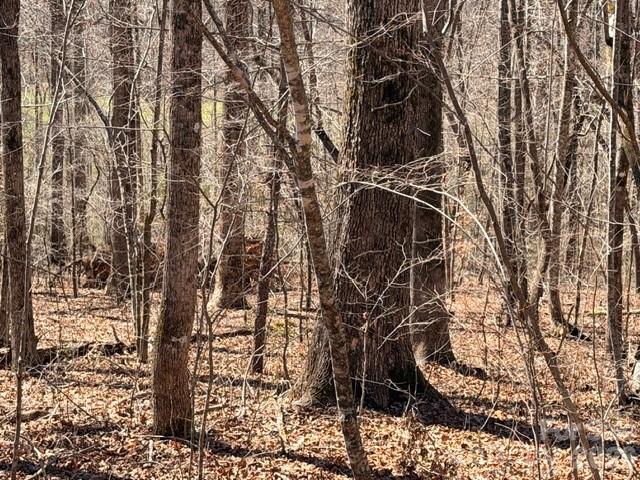 659 Bent Creek Drive Nebo NC 28761