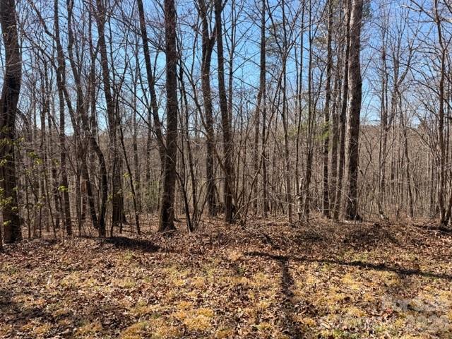 659 Bent Creek Drive Nebo NC 28761