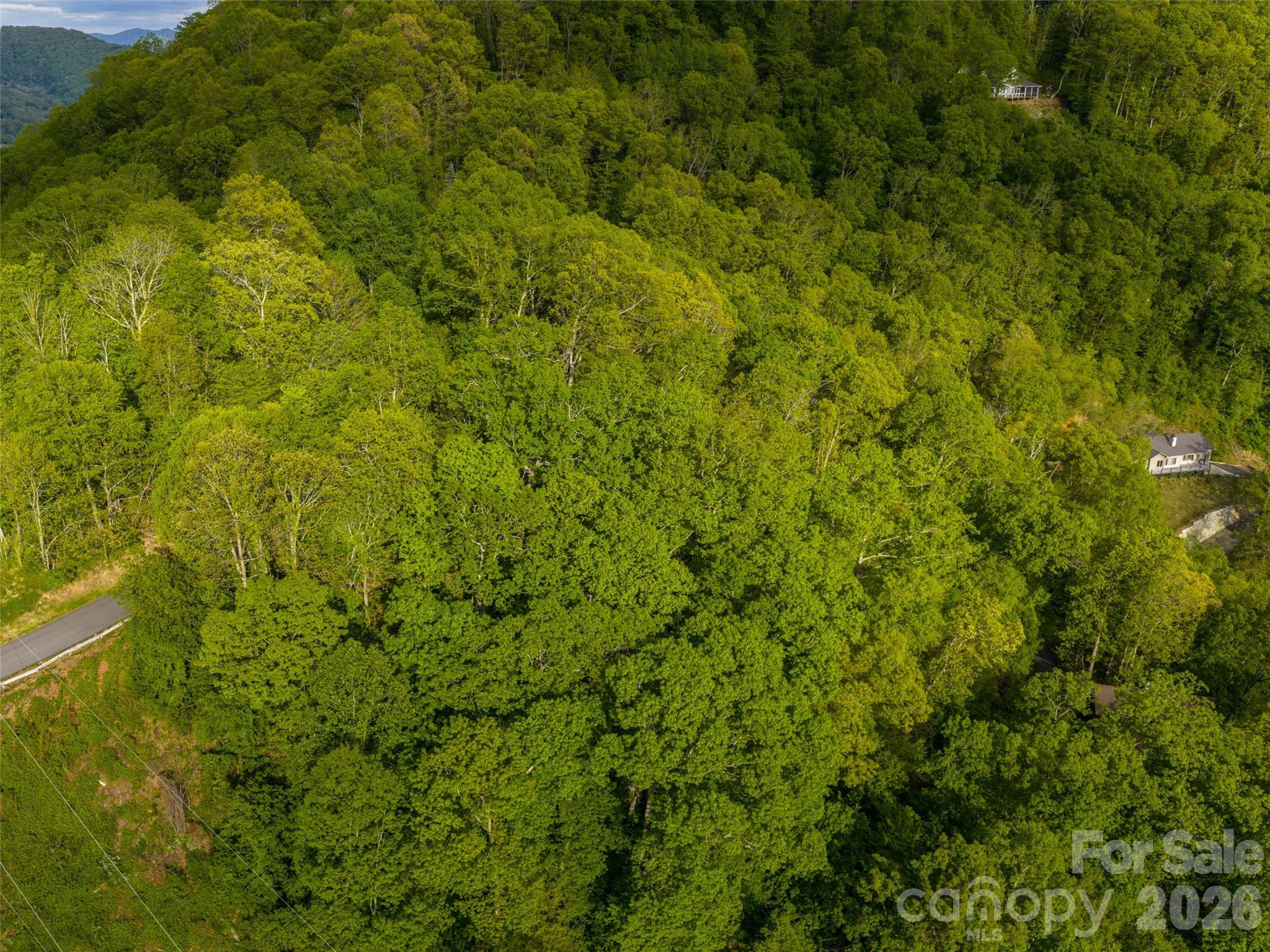 Lot 26 Fincher Mountain Road Waynesville NC 28785