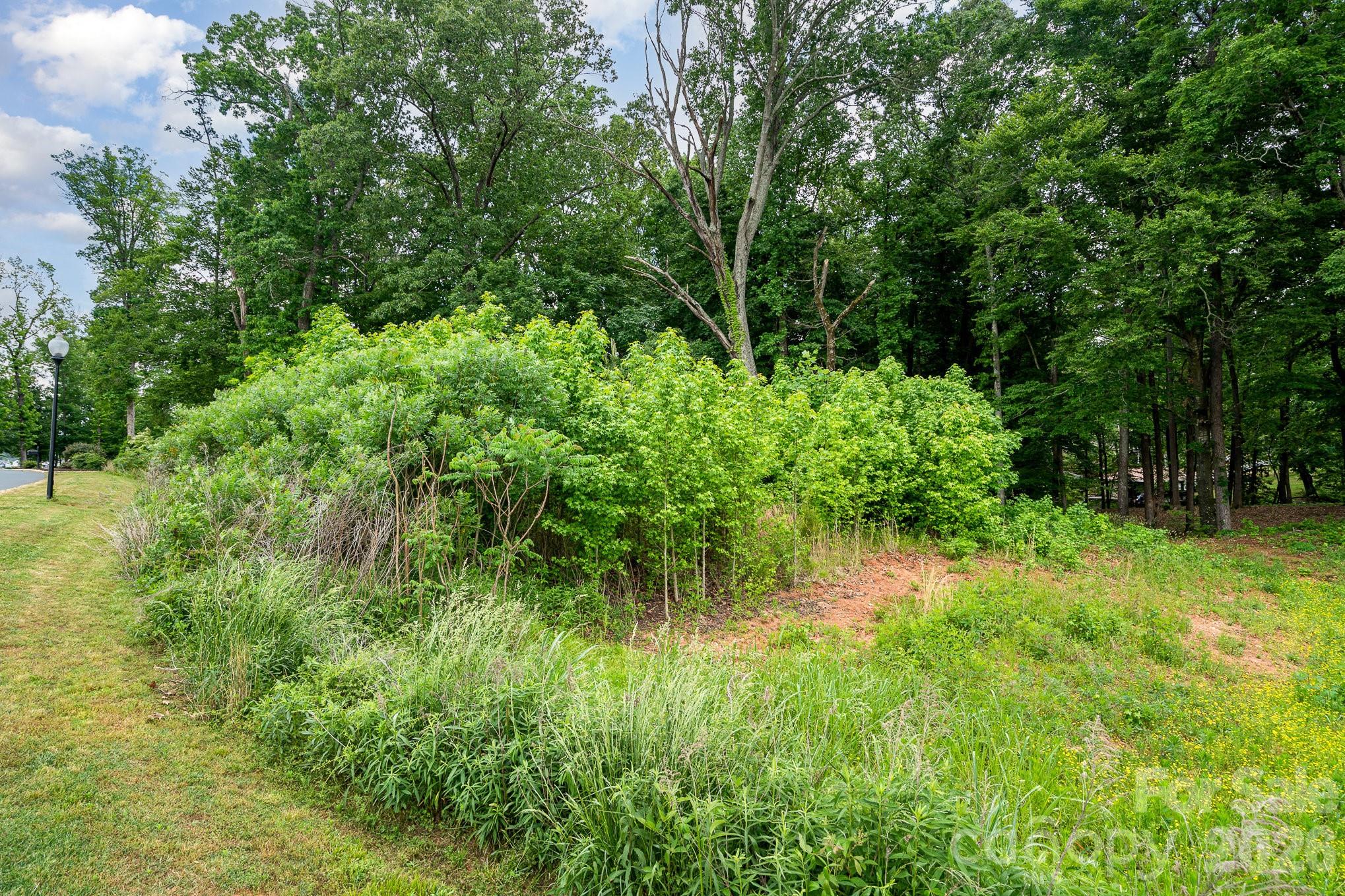 Lot 10 Eagle Pointe Drive Norwood NC 28128