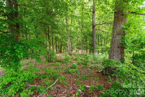 Lot 10 Eagle Pointe Drive Norwood NC 28128