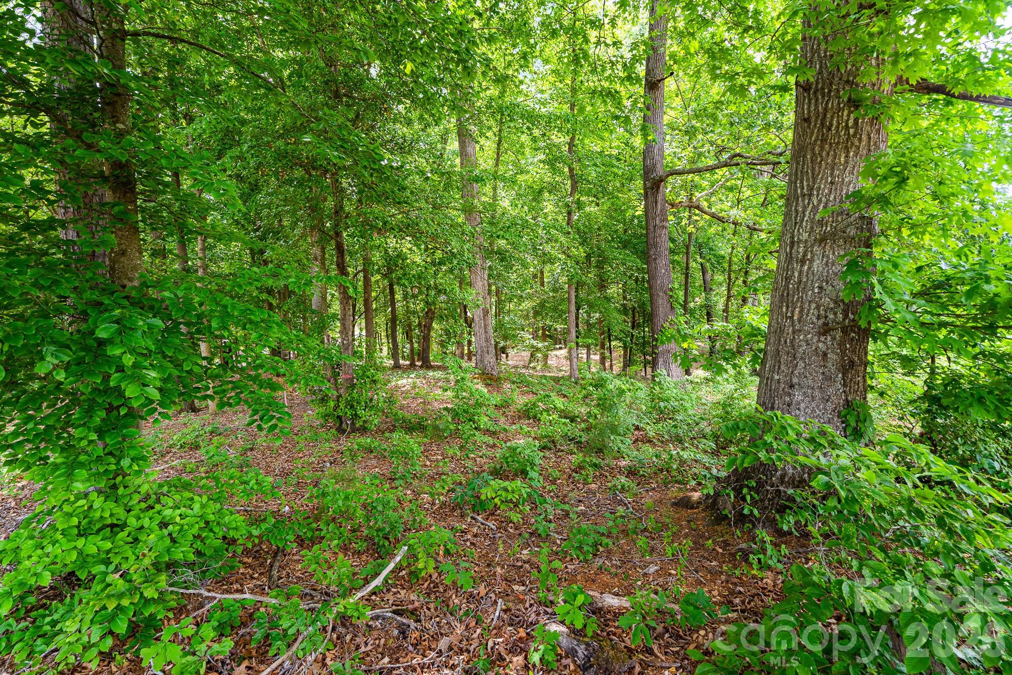 Lot 10 Eagle Pointe Drive Norwood NC 28128