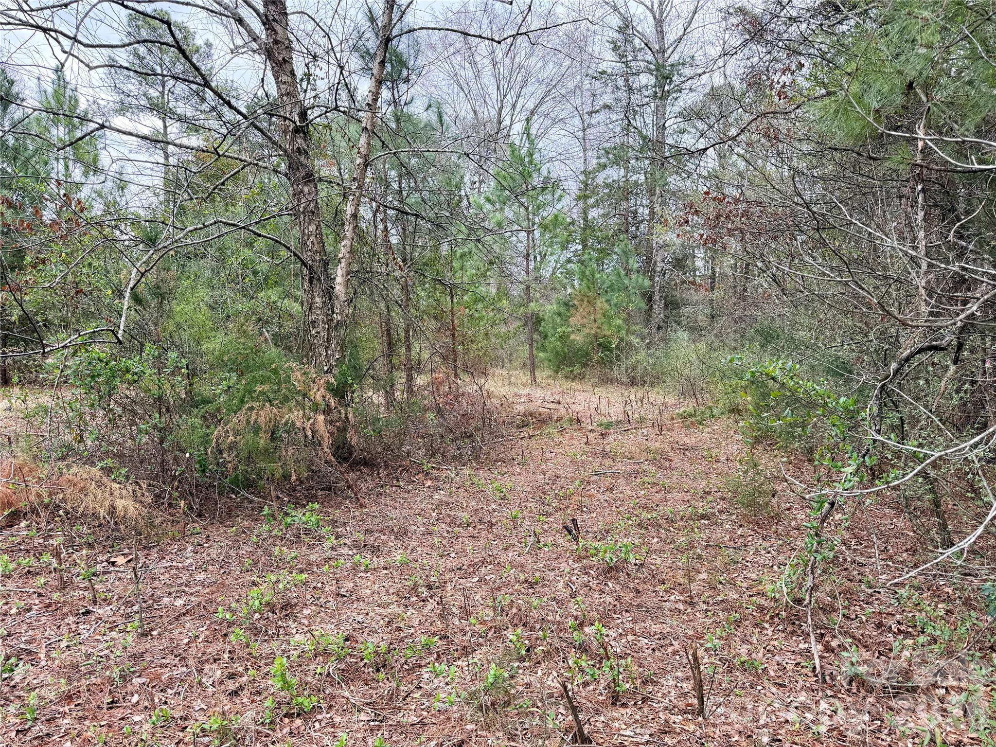 3 Dola Ray Place Stanley NC 28164