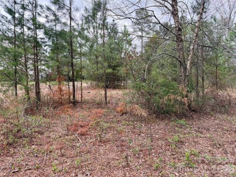 3 Dola Ray Place Stanley NC 28164