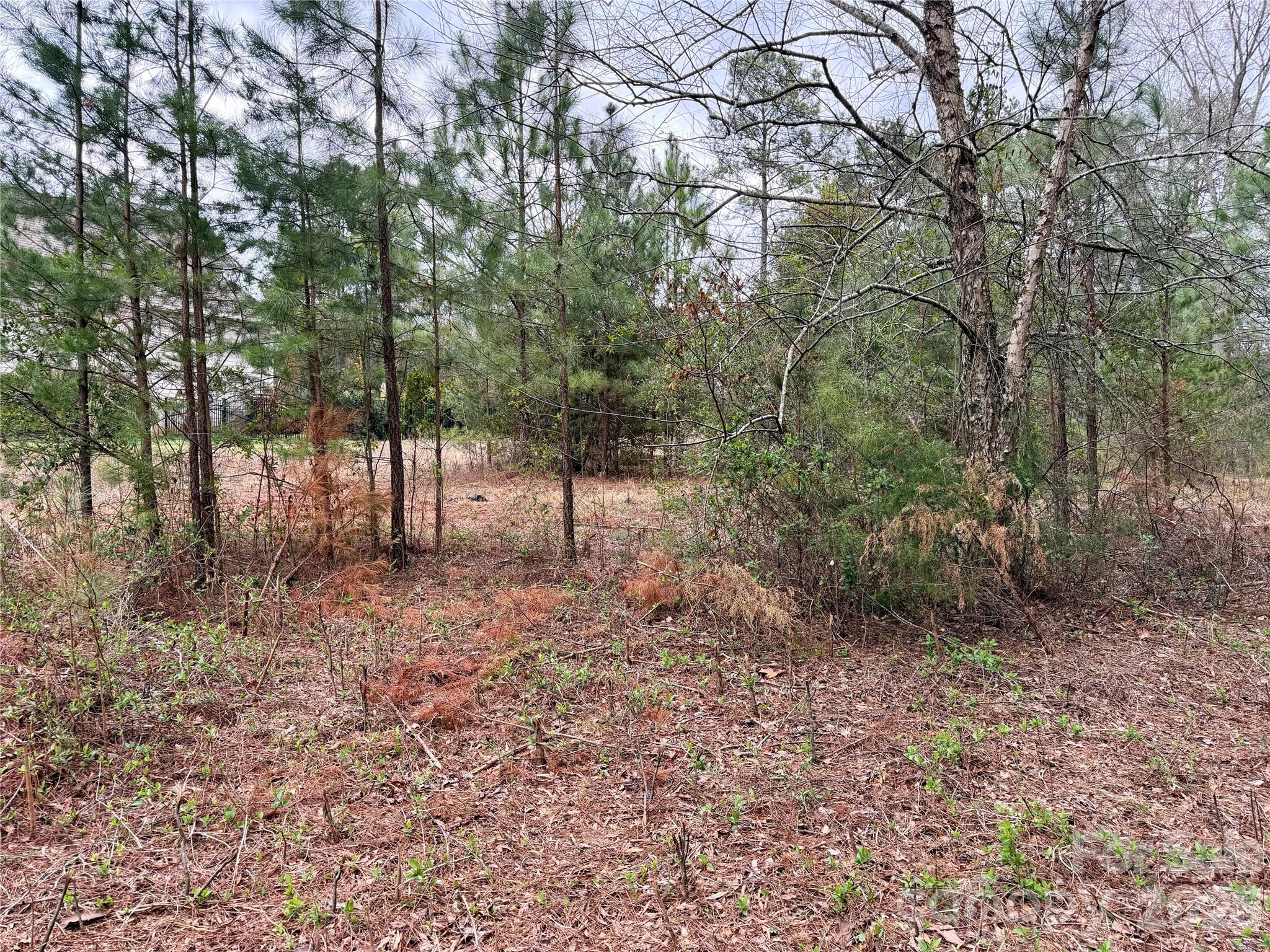3 Dola Ray Place Stanley NC 28164