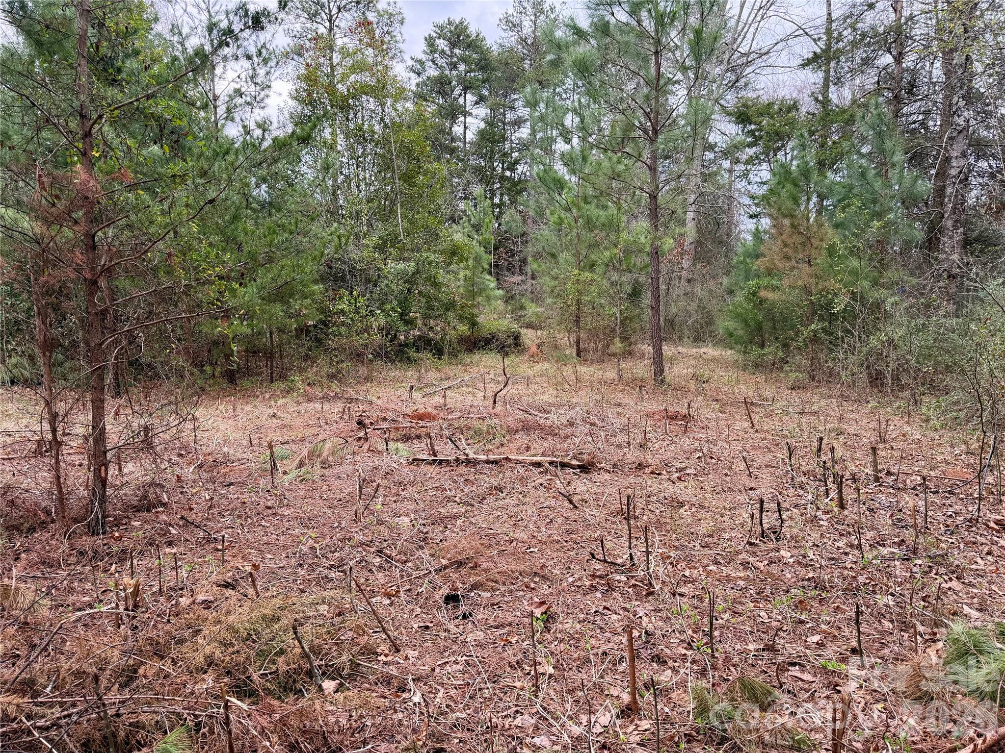 3 Dola Ray Place Stanley NC 28164