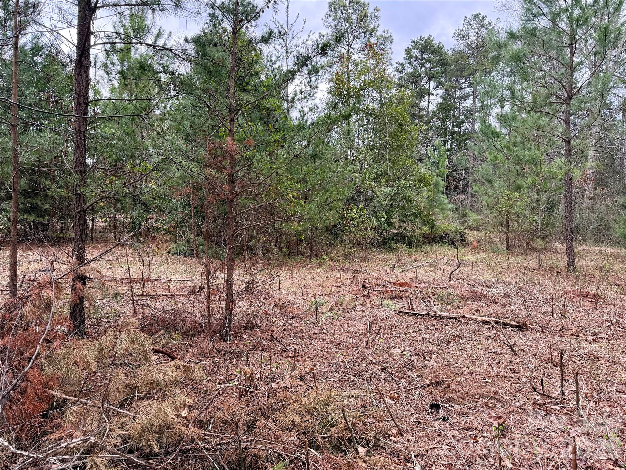 3 Dola Ray Place Stanley NC 28164