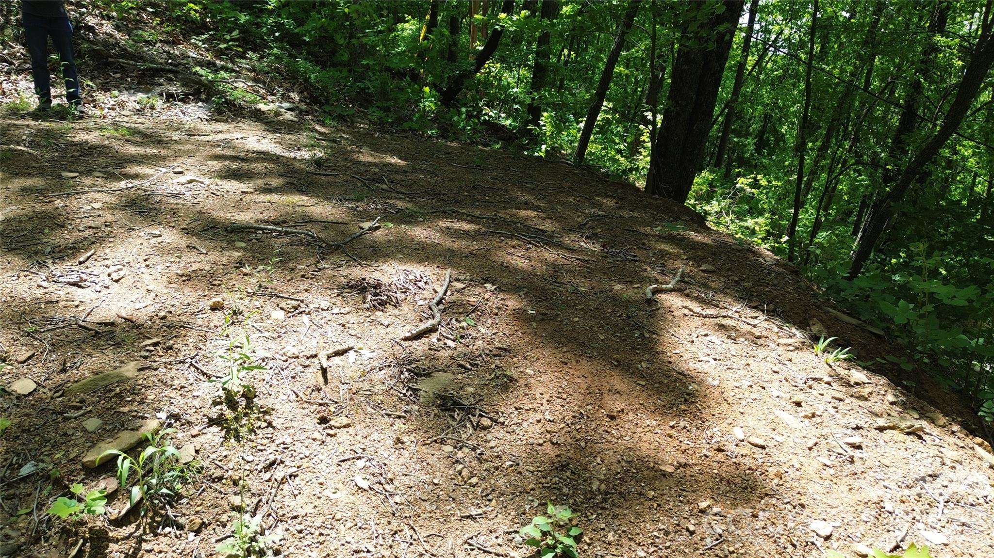 99999 Pink Fox Cove Road Weaverville NC 28787