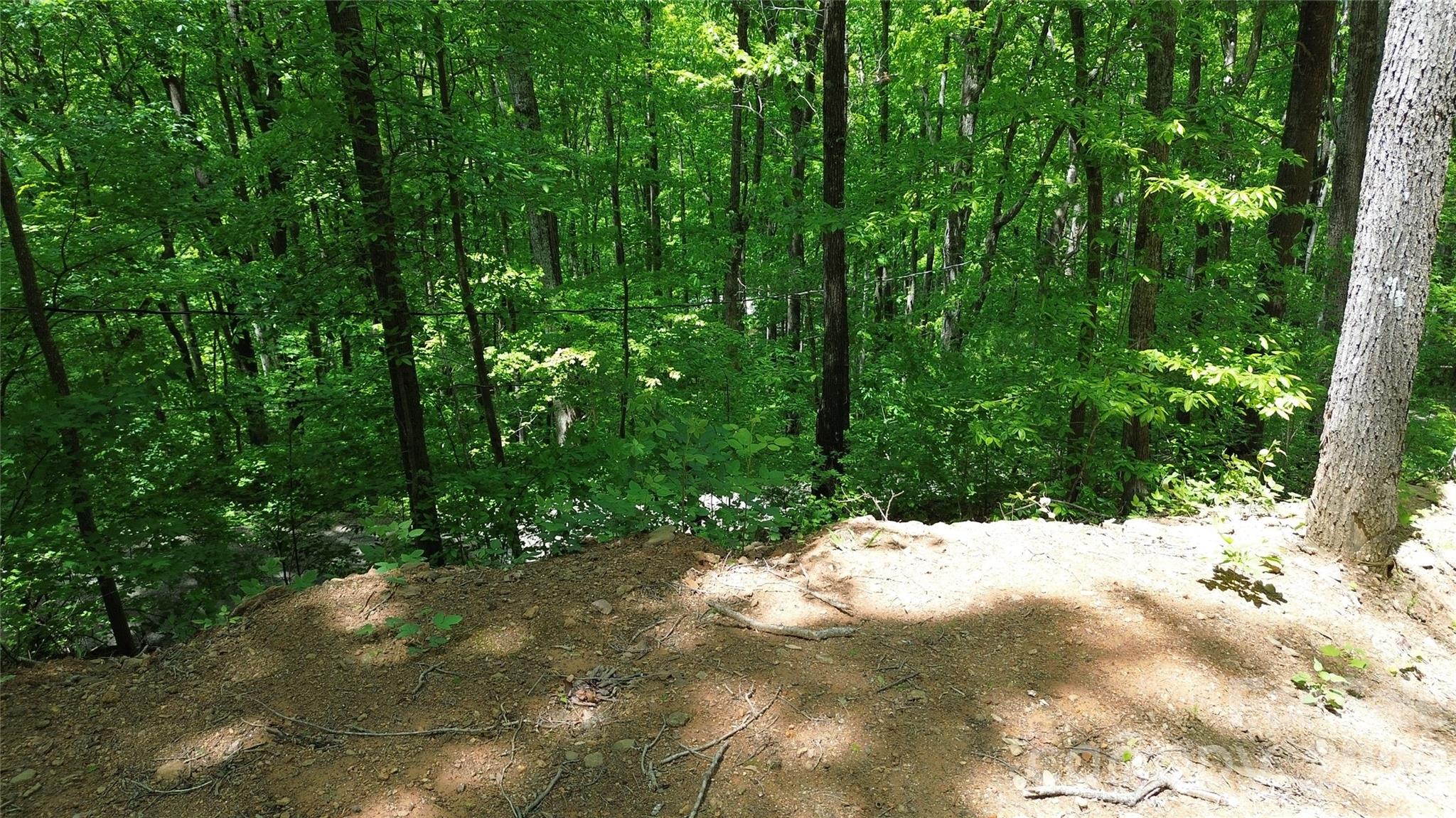 99999 Pink Fox Cove Road Weaverville NC 28787