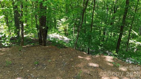 99999 Pink Fox Cove Road Weaverville NC 28787