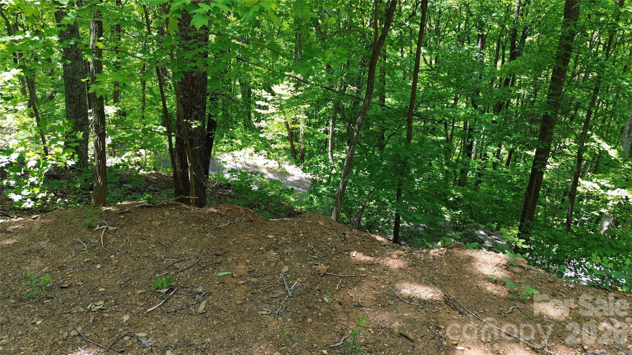 99999 Pink Fox Cove Road Weaverville NC 28787