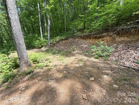 99999 Pink Fox Cove Road Weaverville NC 28787