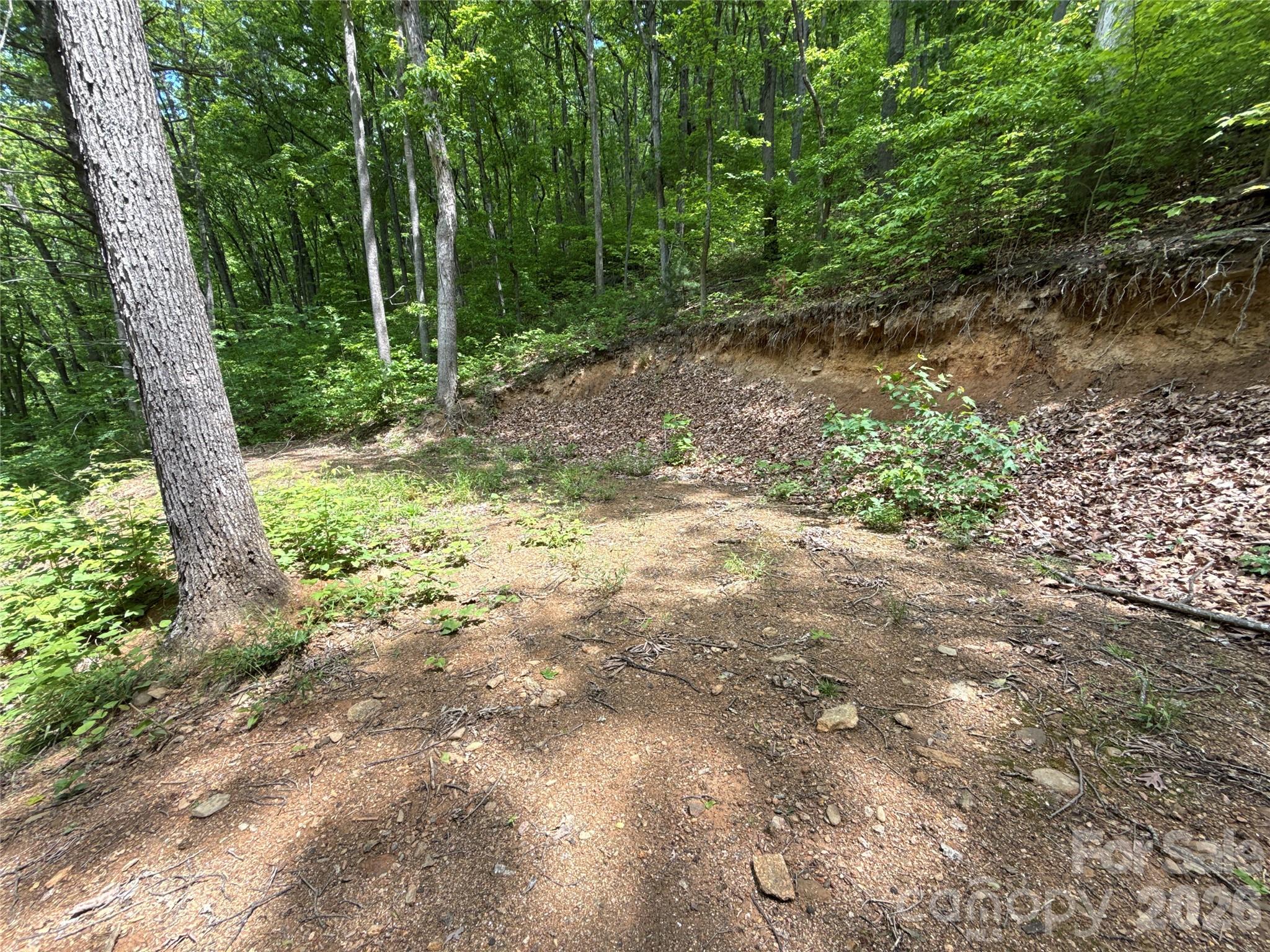 99999 Pink Fox Cove Road Weaverville NC 28787