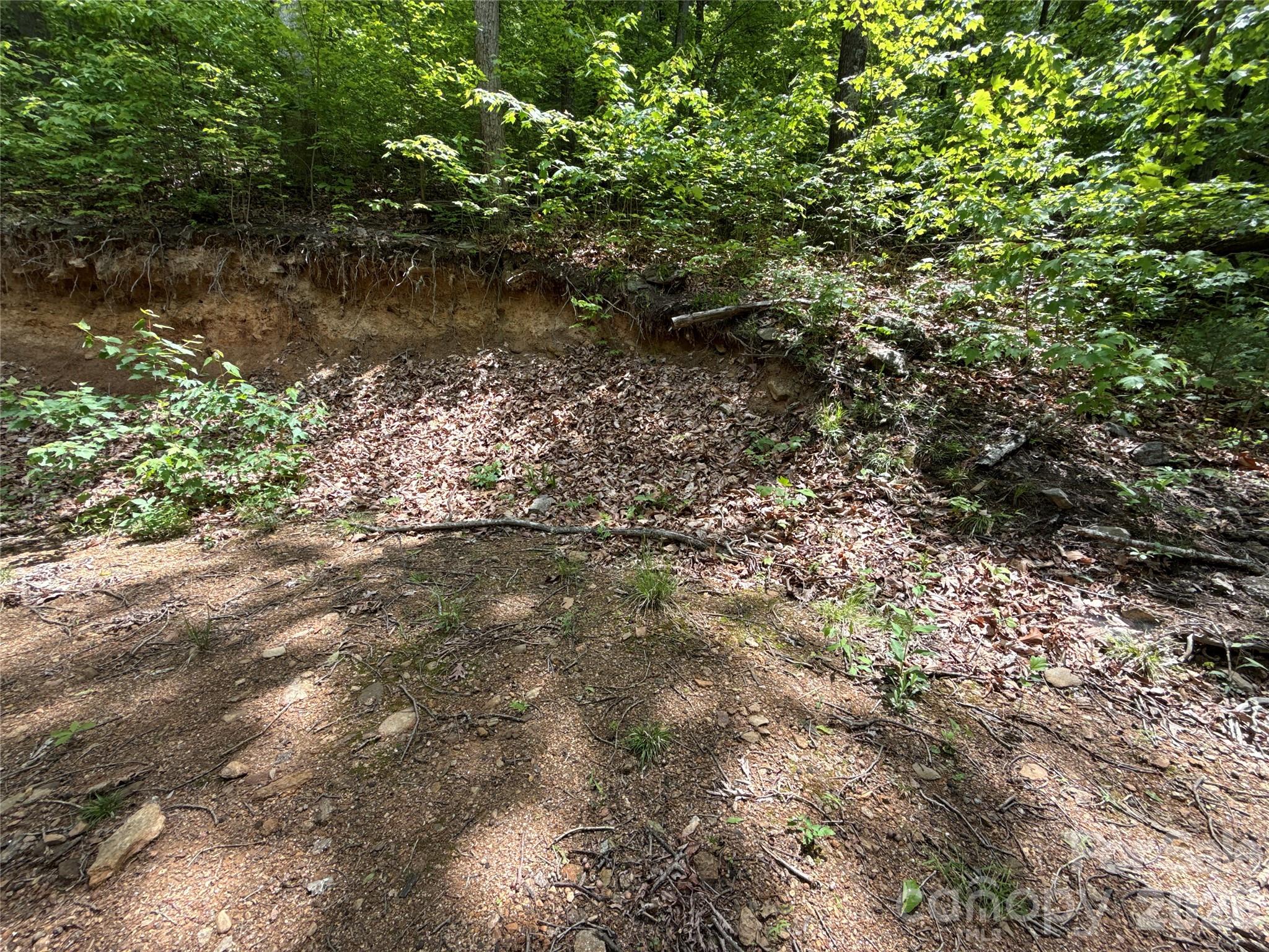 99999 Pink Fox Cove Road Weaverville NC 28787