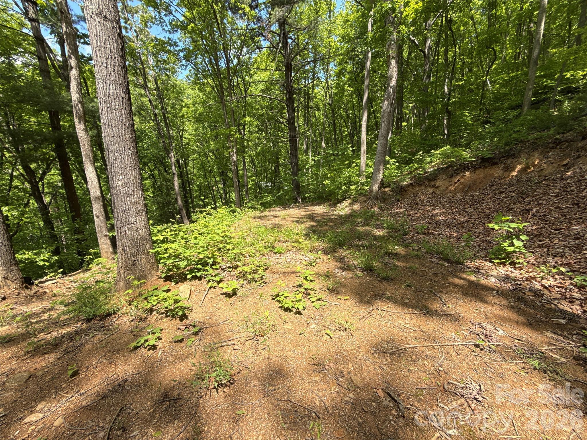 99999 Pink Fox Cove Road Weaverville NC 28787