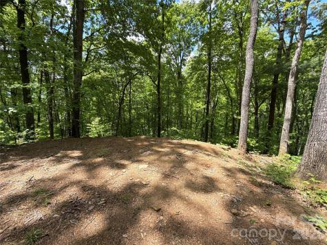 99999 Pink Fox Cove Road Weaverville NC 28787