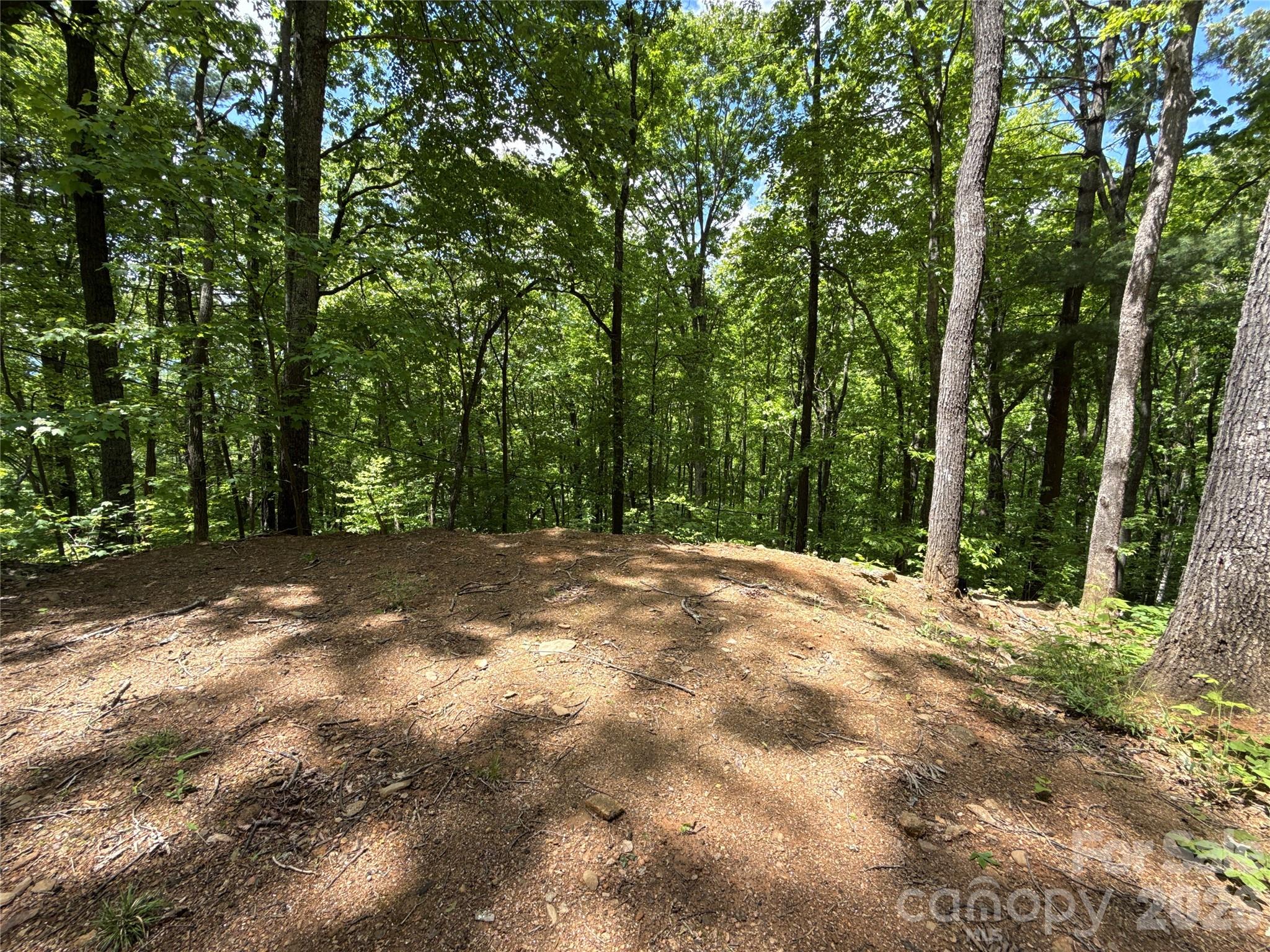 99999 Pink Fox Cove Road Weaverville NC 28787