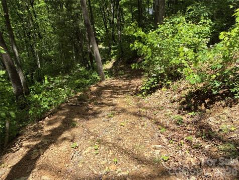 99999 Pink Fox Cove Road Weaverville NC 28787