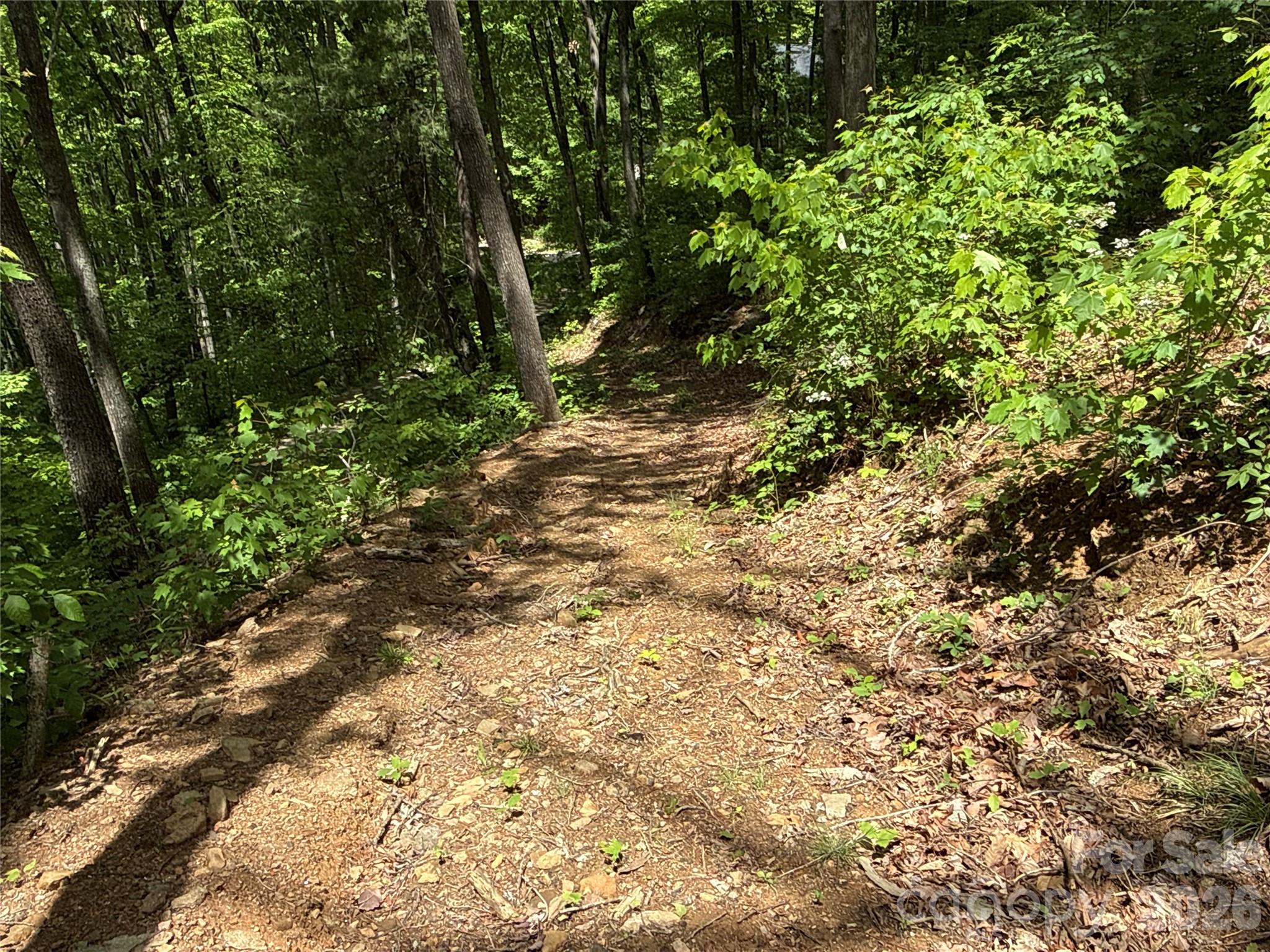 99999 Pink Fox Cove Road Weaverville NC 28787